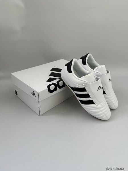 Adidas Taekwondo white чоловічі AT-100337 фото