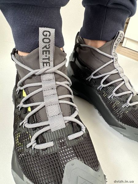Чоловічі кросівки Nike acg Mountain Fly 2 Gore Tex NG_100141 фото