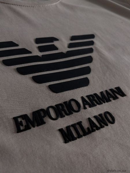 Футболка чоловіча Armani Армані F0098S фото
