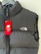 Жилетка мужская the north face черная зе норт фейс TF_S фото 3